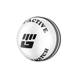 Balle de cricket blanche