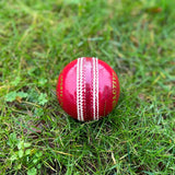 Balles de cricket rouges