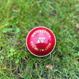 Balles de cricket rouges