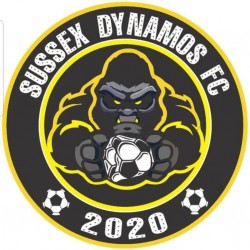 Sussex Dynamos FC